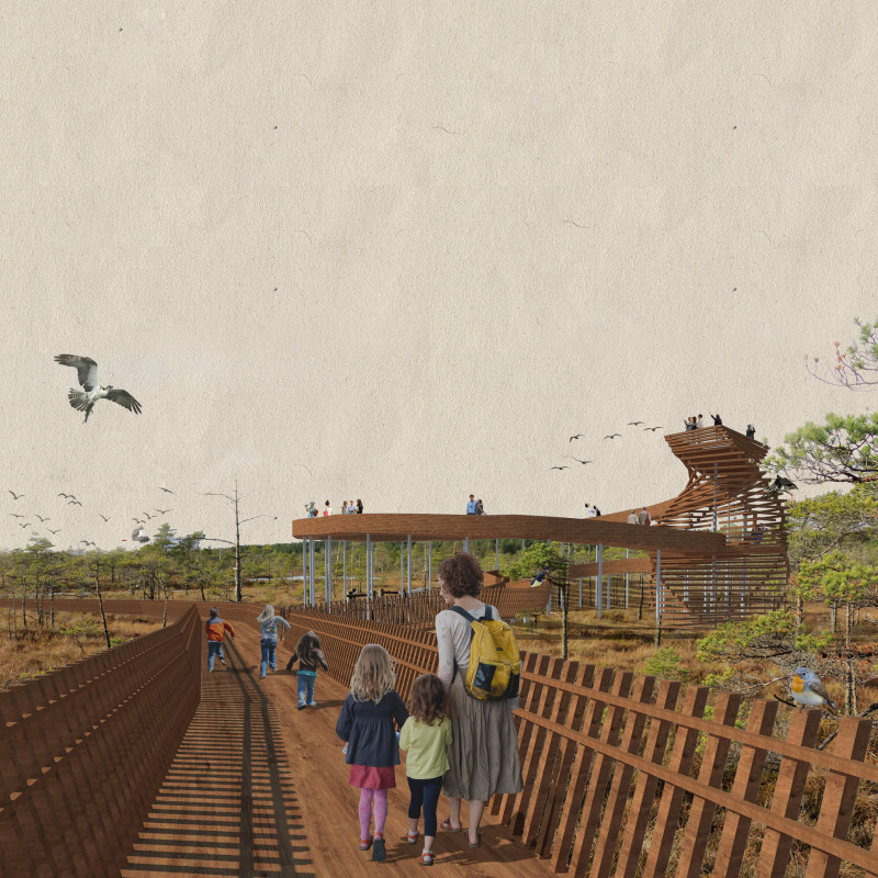 Twisted Viewing Deck Crafted from Sustainable Timber Panels in a Natural Wetland Setting