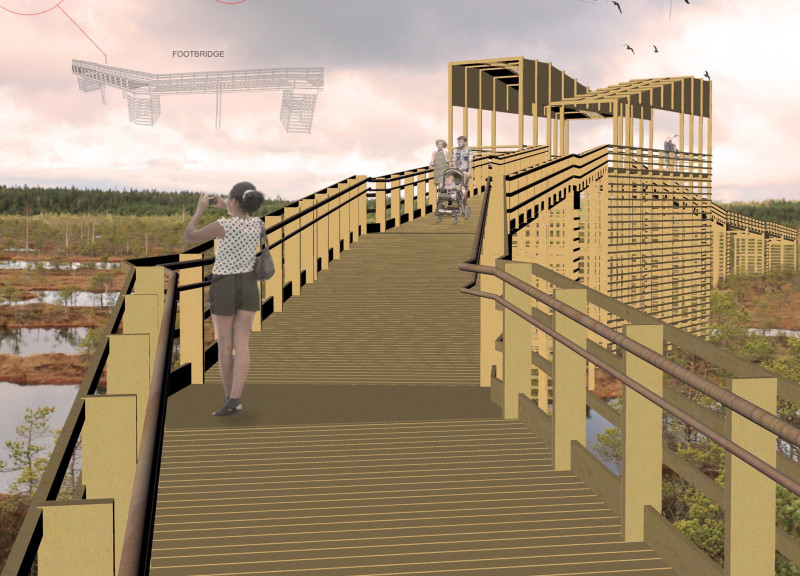Elevated Viewing Platform Constructed with Grid Mesh and Preserved Timber in a Natural Wetland Setting
