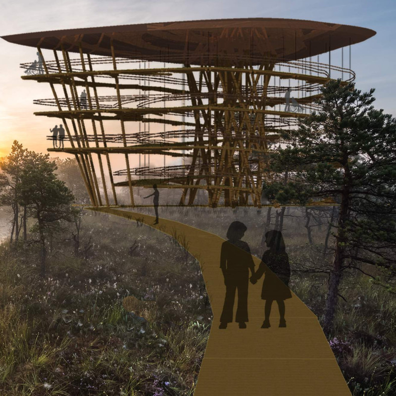 Log Column Structure with Copper Roofing Providing Elevated Views in a Natural Habitat