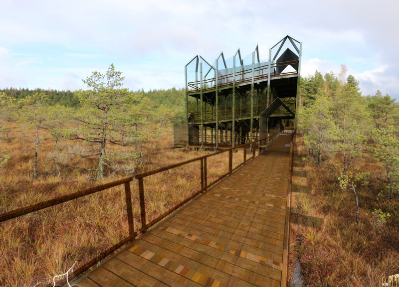 Elevated Viewing Platform Constructed with Sustainable Wood and Transparent Glass in a Natural Wetland Environment