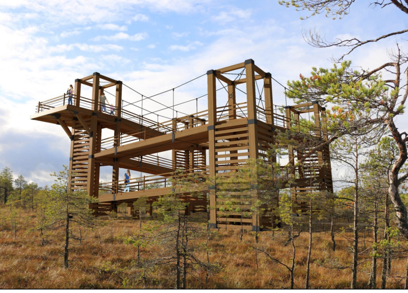 Panoramic Terrace Supported by Metal Cables Overlooking Wetlands