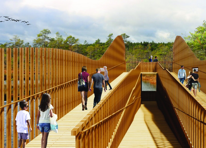 Wood Slats and Accessible Ramps Creating an Engaging Journey Through Nature