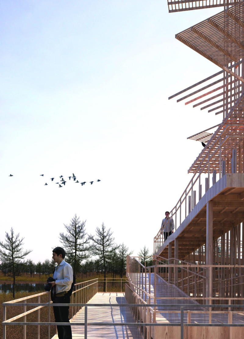 Lattice Observation Tower Embracing Softwood in Wetland Habitat
