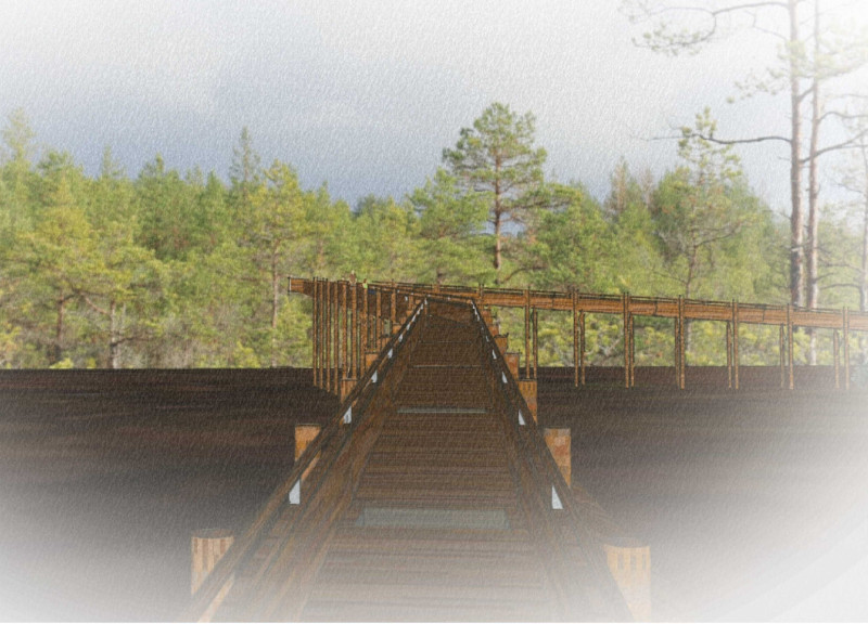 Elevated Timber Walkways Merging Nature and Accessibility