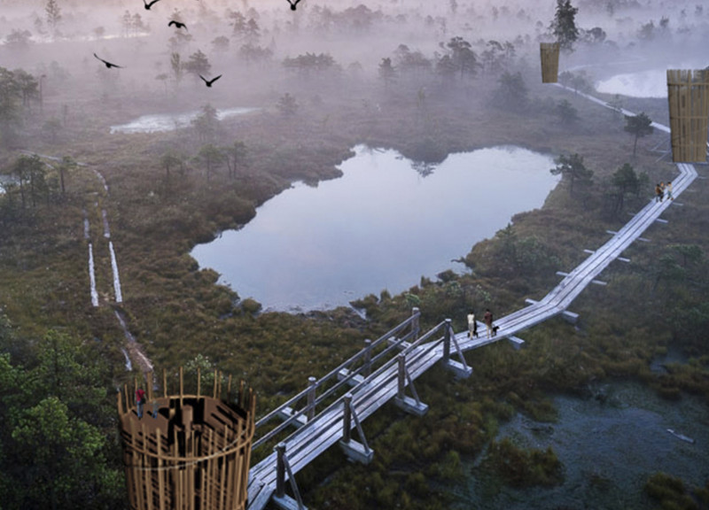 Wooden Observation Tower Featuring Mirrored Perspectives in Natural Landscape