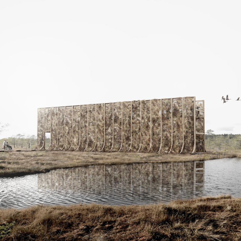 Moss-Covered Wall Enhancing Visitor Interaction in Natural Landscape