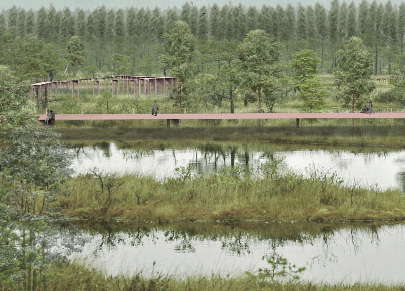 Elevated Pathways of Cross-Laminated Timber Integrating Natural Ecosystems