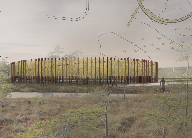 Elevated Viewpoints Framed by Local Textures in a Serene Wetland Setting