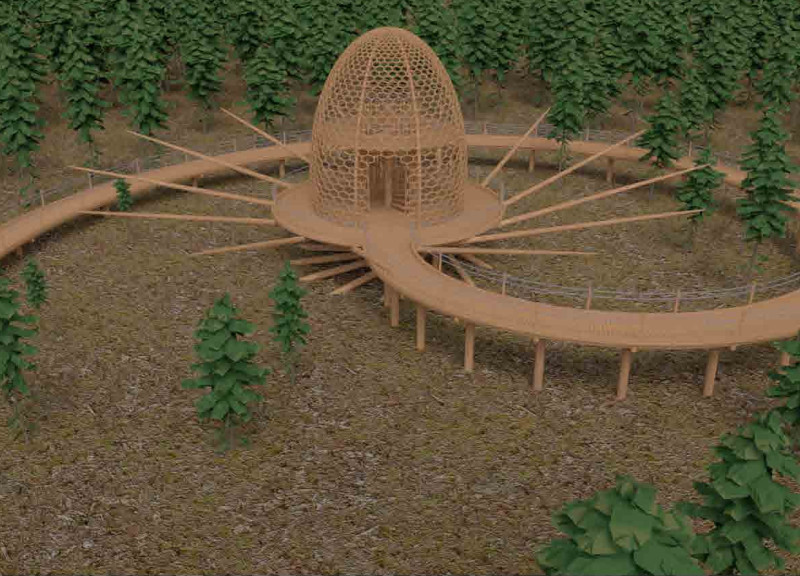 Timber Hexagons and Spiraled Access in Natural Surroundings
