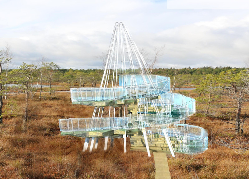 Spiral Ascent in Baltic Timber Within a Cultural Landscape