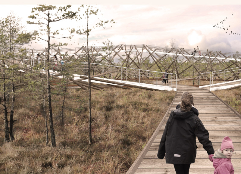 Elevated Viewing Platform Crafted from Wood Amidst the Kemeri Bog