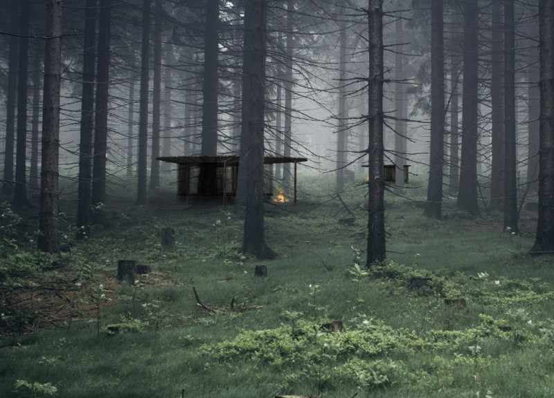 Thatched Roof Pavilions Embracing Forest Retreats with Central Hearths