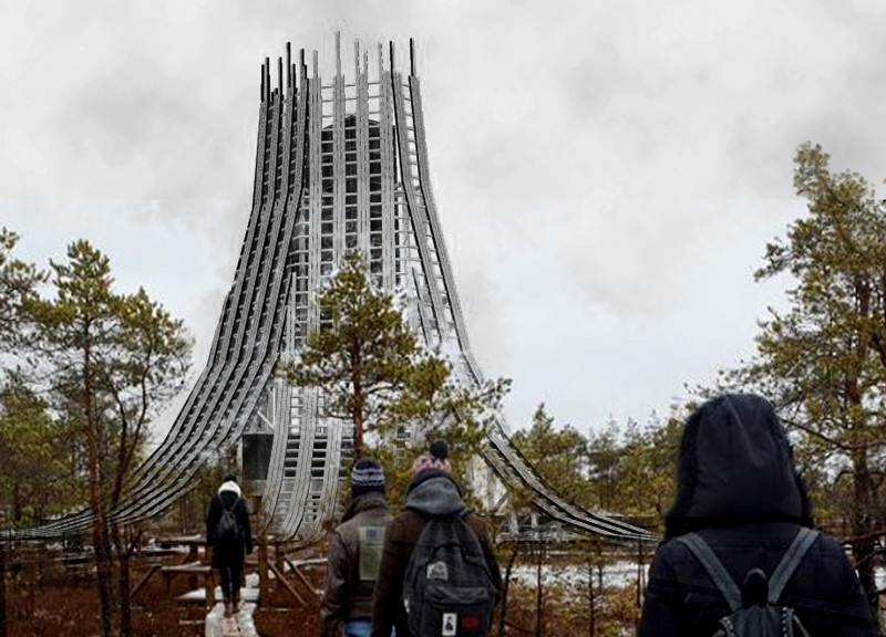 Elevated Viewing Platform with Sustainable Timber and Integrated Rainwater System