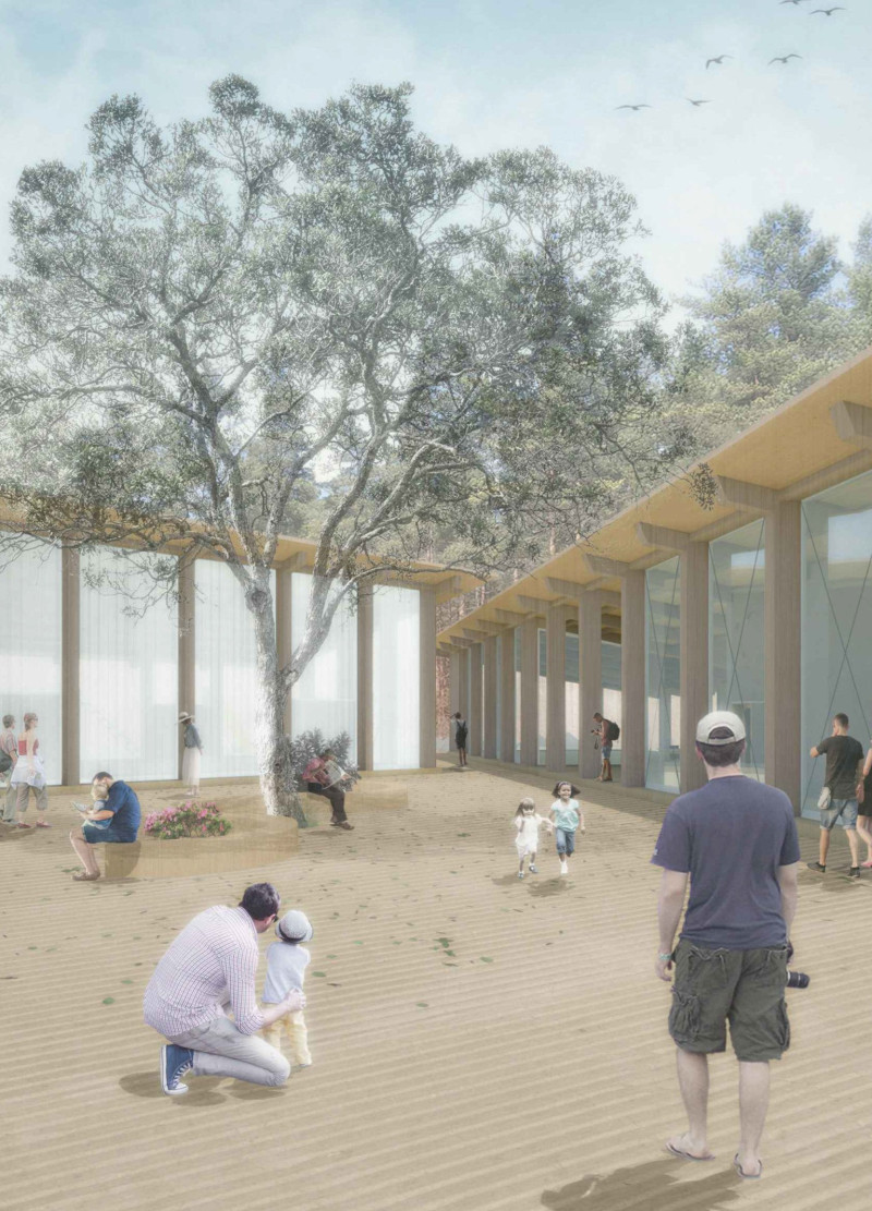 Wooden Pathways Connecting Three Pavilions in a Nature-Focused Visitor Center