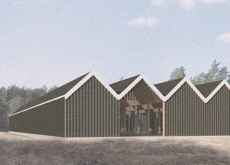 Embodying Mythology Through Geometric Forms in a Bog Landscape