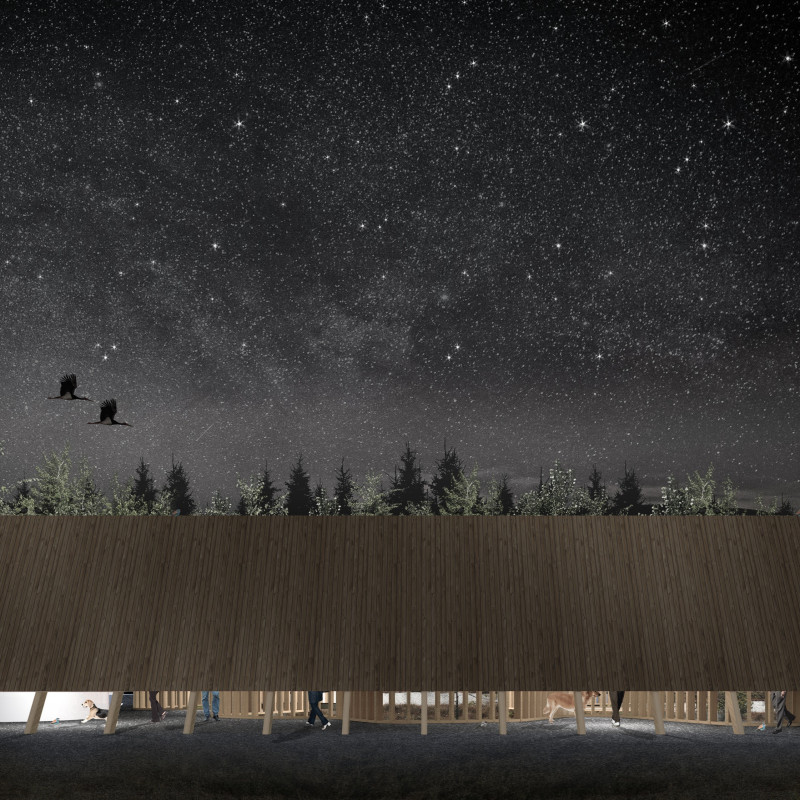 Organic Forms and Open-Air Spaces in a Visitor Center Among the Bogs