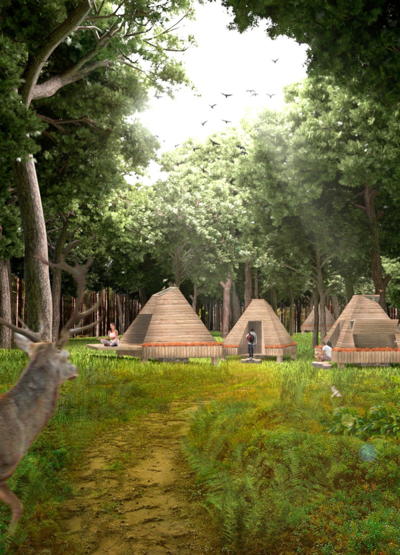 Cross-Laminated Timber Structures Elevated Above Nature with Charred Wood Accents