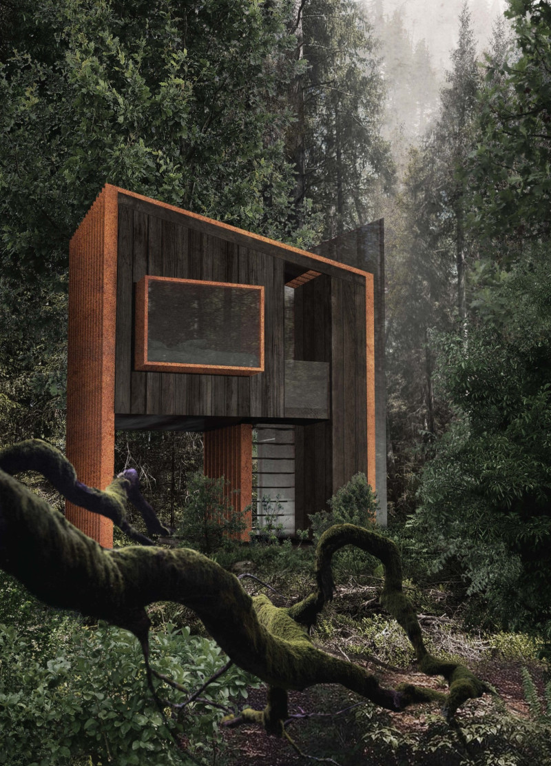 Charred Wood Elevation Enhancing Forest Immersion for Mindful Retreat