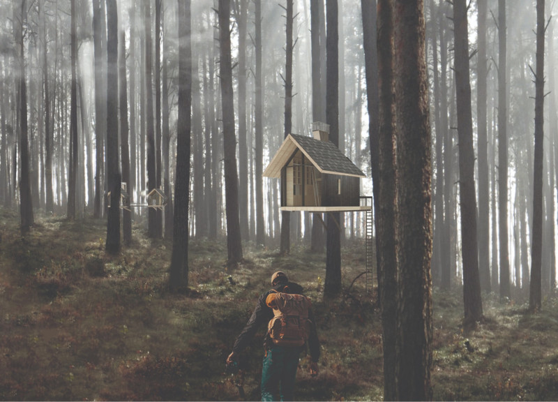 Elevated Retreat Crafted from Charnel Wood with Natural Insulation in a Serene Forest Setting