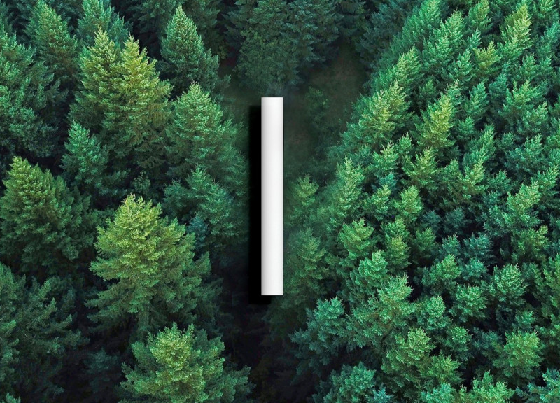 Bird-Inspired Wooden Cabin Emphasizing Outdoor Integration and Energy Self-Sufficiency