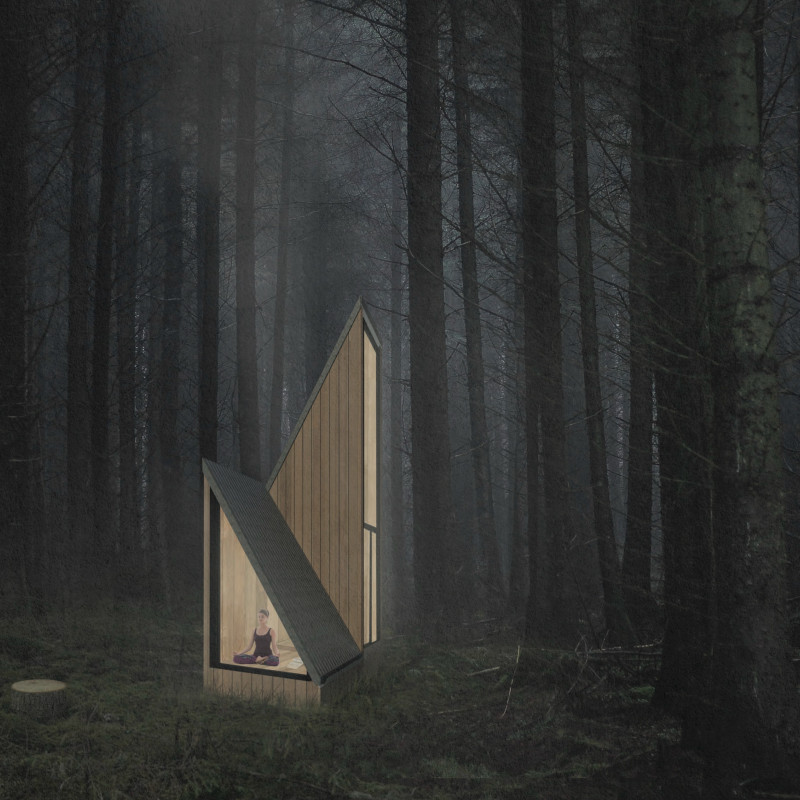 Timber Retreat with Undulating Roofs Overlooking Forest Views