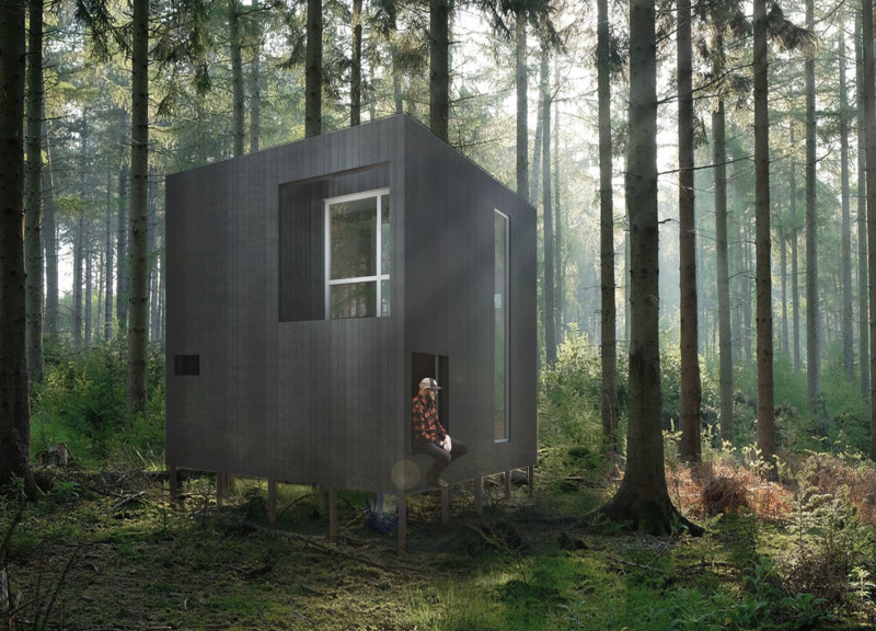 Elevated Cabin Offering Forest Views with Warm Wood Interiors