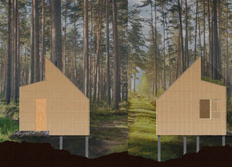 Cellulose Insulated Forest Cabins with Green Roofs and Charred Wood Facades Emphasizing Minimalist Retreats