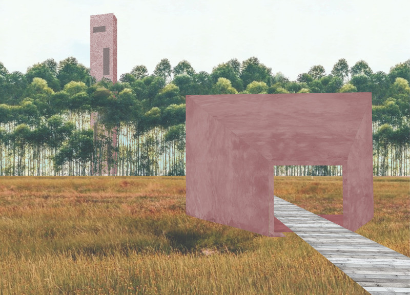 Balanced Pathways Through Acidic Wetlands and Towering Reeds