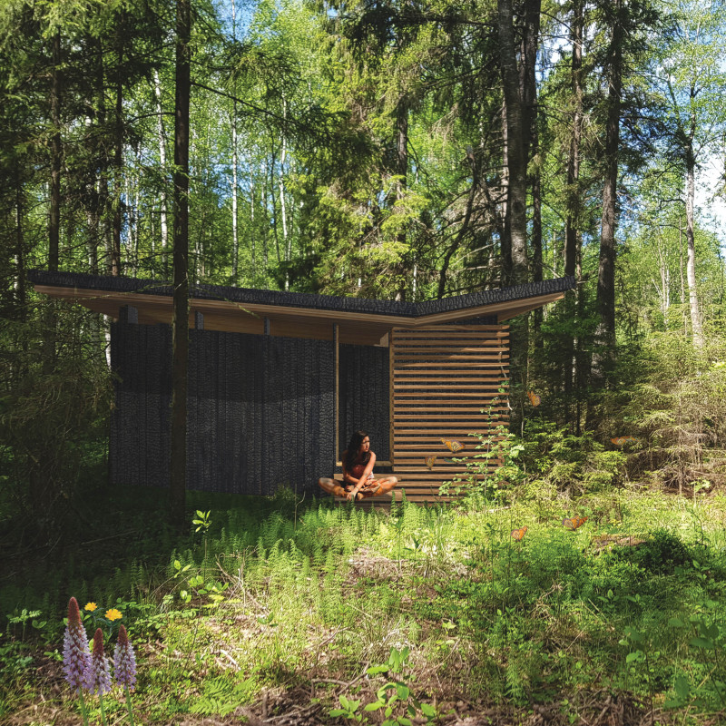 Charred Wooden Shingles and Green Roofs in a Tranquil Forest Retreat