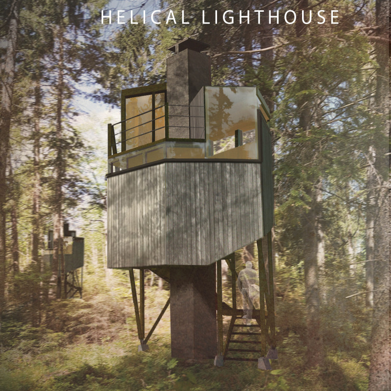 Laminated Wood Cabins Harmonizing with Forest Light