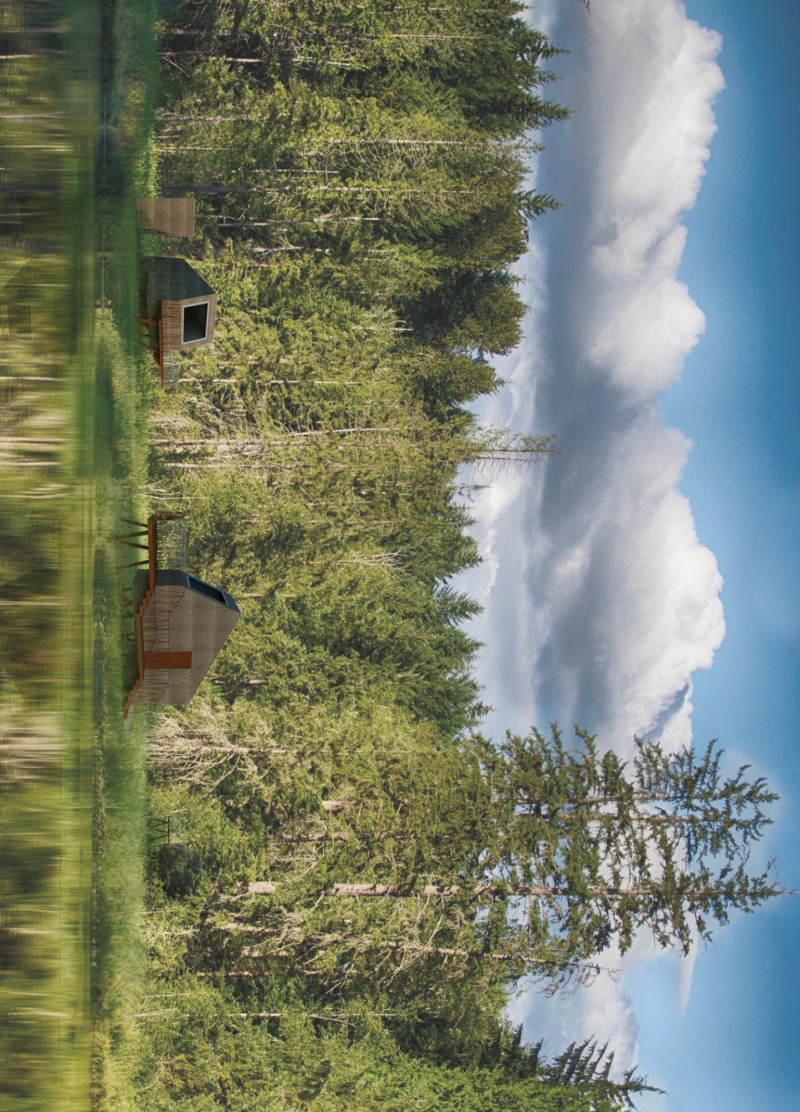 Elevated Retreat with Coated Steel and Red Fir Harmony