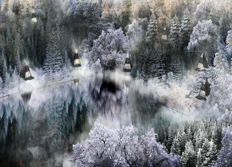 Solar Glass Façades and Raw Wood Integrate Meditation Cabins into Forest Ecosystem