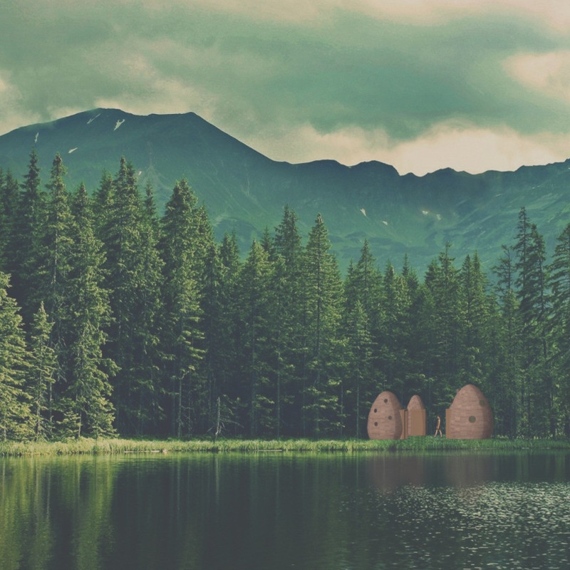 Serene Meditation Retreat Crafted from Pine, Oak, and Birch