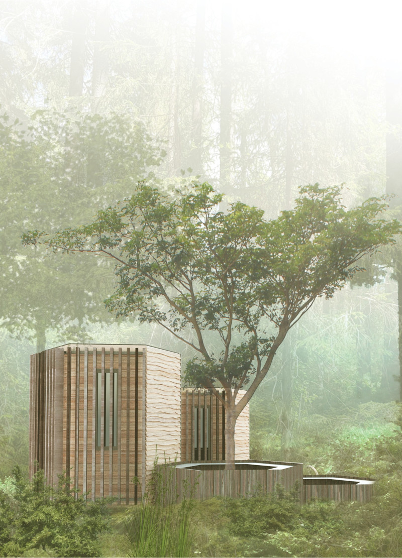Hexagonal Retreat with Concrete Footings and Natural Wood Elements