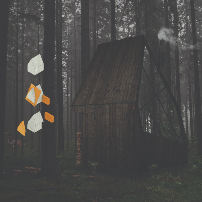 Charred Spruce Retreat Embracing Natural Light in the Forest