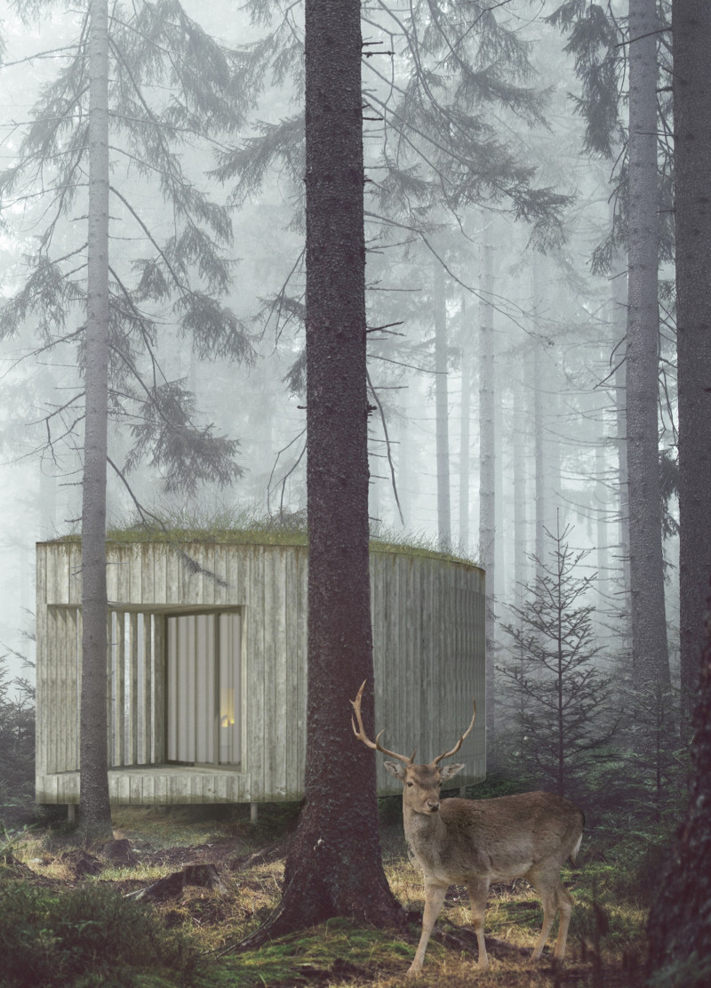 Meditative Cabins with Clay Plaster and Spruce Cladding in Natural Harmony