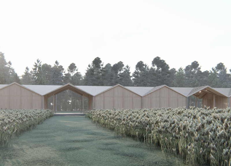 Natural Pine Modules Interacting with the Bog Landscape