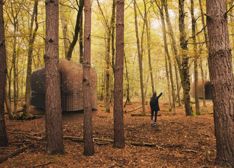 Natural Timber Retreat Emphasizing Geometric Purity and Environmental Integration