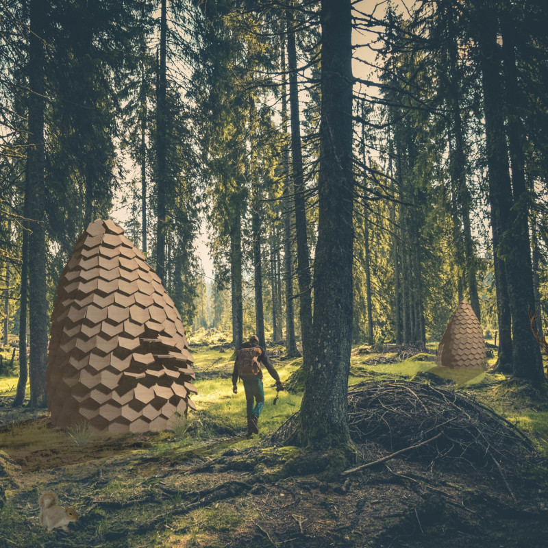 Hexagonal Shell Retreat Crafted from Thermo-Wood in the Latvian Landscape