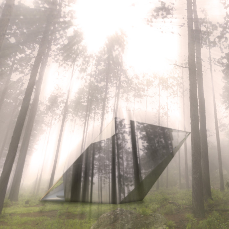 Reflective Retreat with Pinewood Structure and Double Mirror Elements