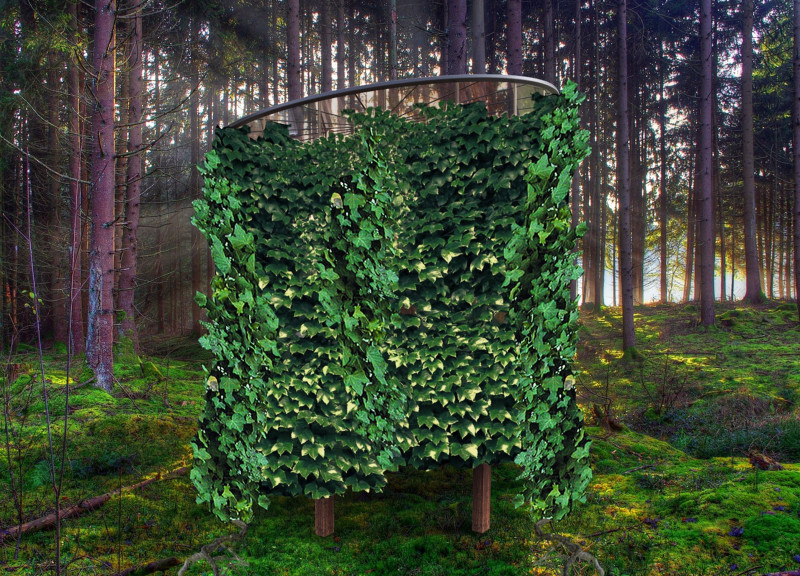 Helical Structure Embracing Hedera Ivy for Tranquil Meditation Space