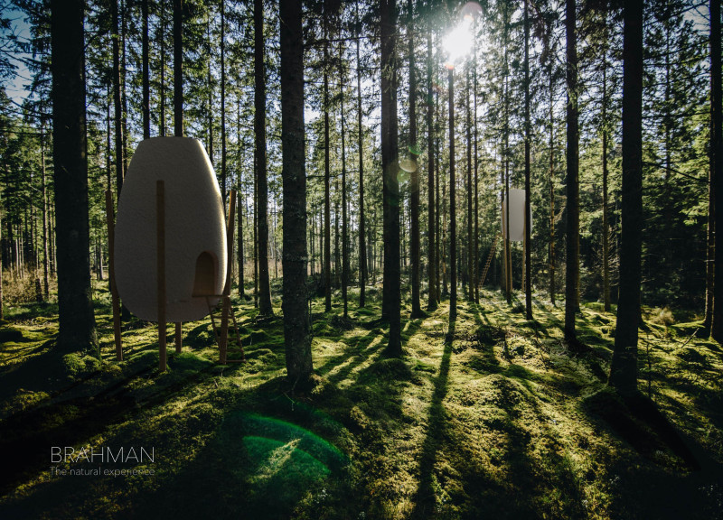 Cocoon-Shaped Retreat Crafted from Mycelium with Elevated Functionality