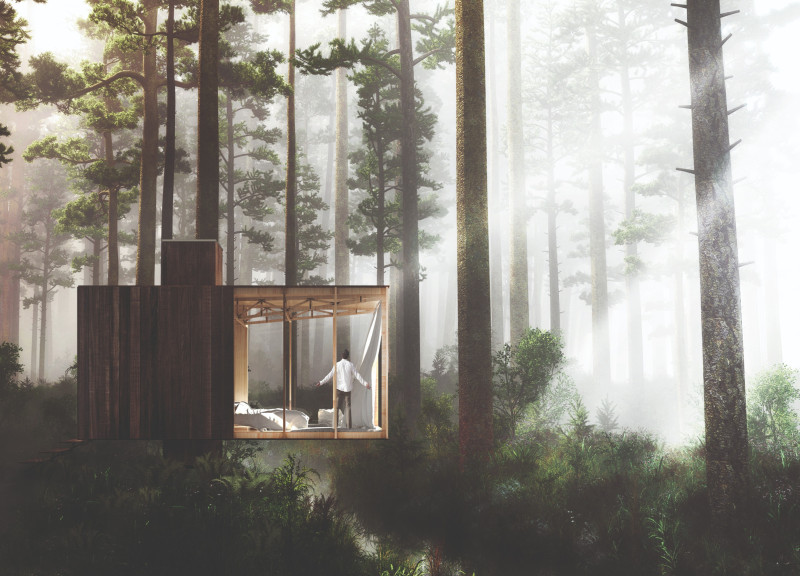 Elevated Wooden Retreat Emphasizing Silent Reflection in Nature