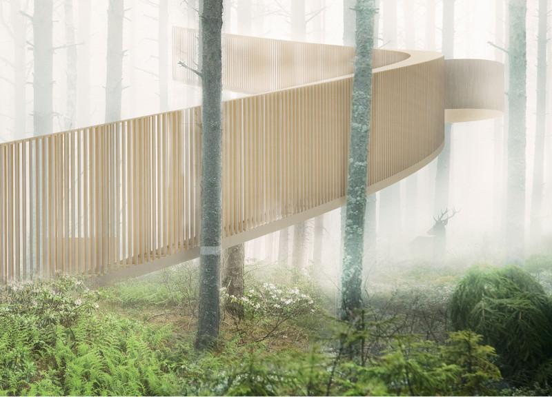 Elevated Pathway of Local Wood Connecting Forest to Lake