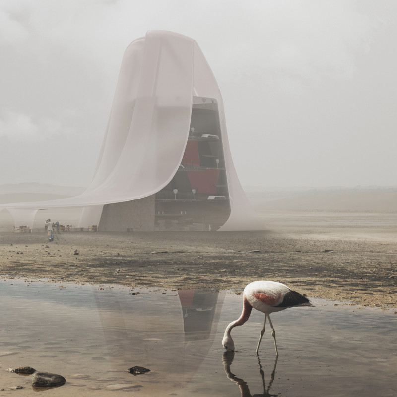 Lightweight Steel and Etfe Create Fluid Observation Space in Natural Wetland Setting