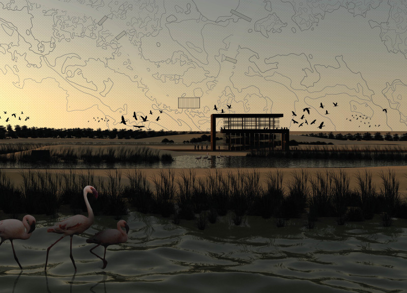 Wooden Ribbon Pathways Connecting Nature and Observation in a Wetland Reserve
