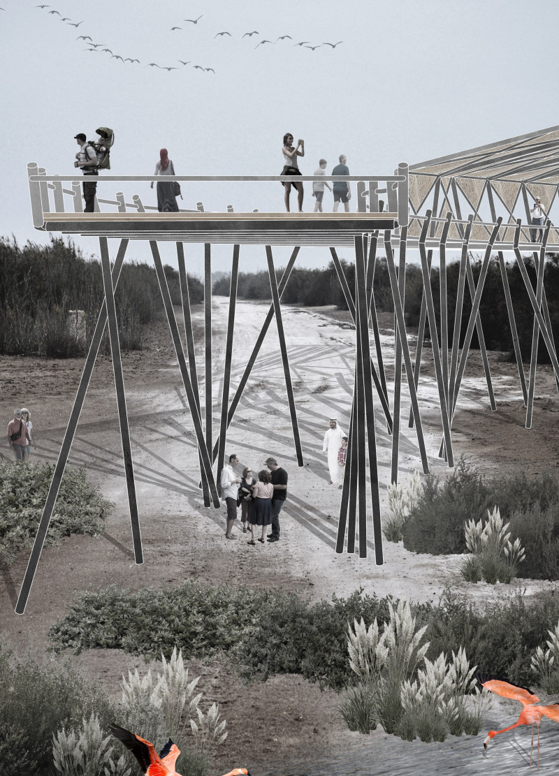 Elevated Pathway of Recycled Wood Featuring Tubular Steel Supports in Wetland Reserve