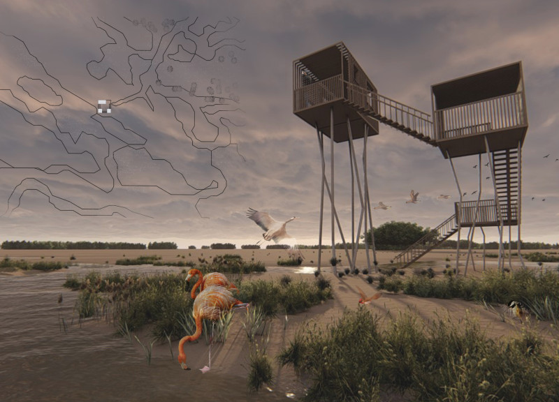 Elevated Steel Pillars Reflect Flamingo Legs in Nature Observation Tower