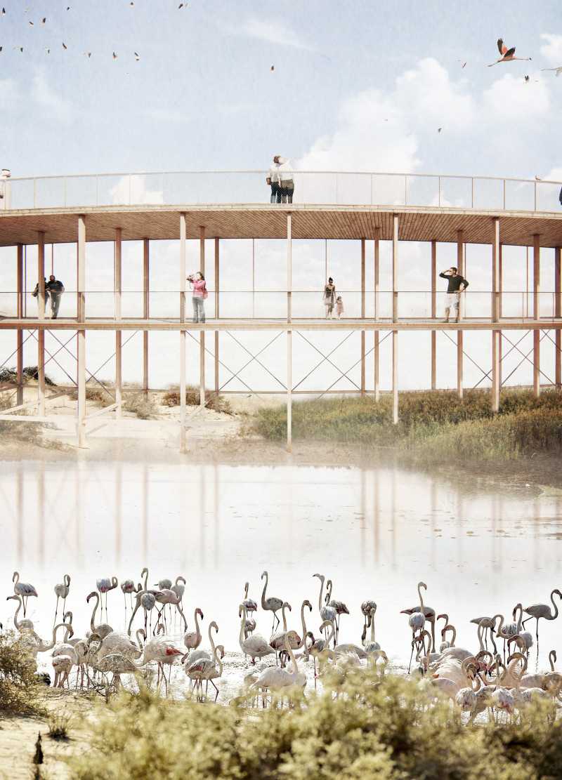 Lapacho Walkway Elevating Views in a Sustainable Natural Setting