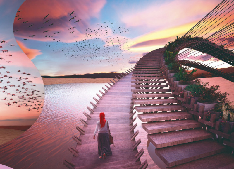 Teak Observation Platform Integrated with Natural Wetlands